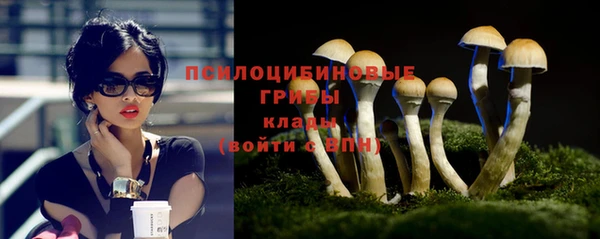 мдпв Губаха