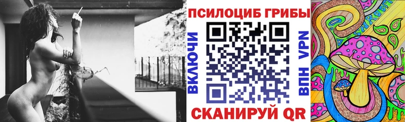 купить  цена  Каргат  Галлюциногенные грибы ЛСД 